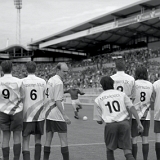 Montage Bayer muurtje